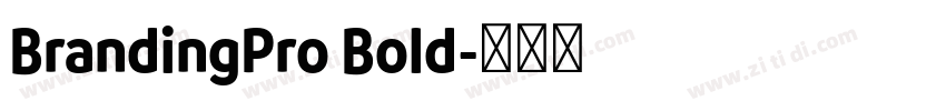 BrandingPro Bold字体转换